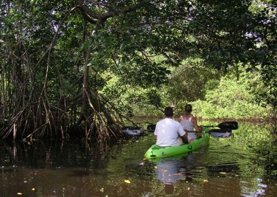 GC-Manglar-JLB